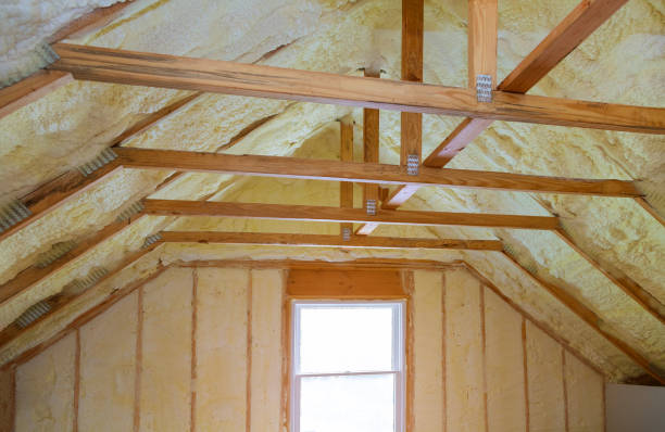 Best Residential Insulation in Minden, LA