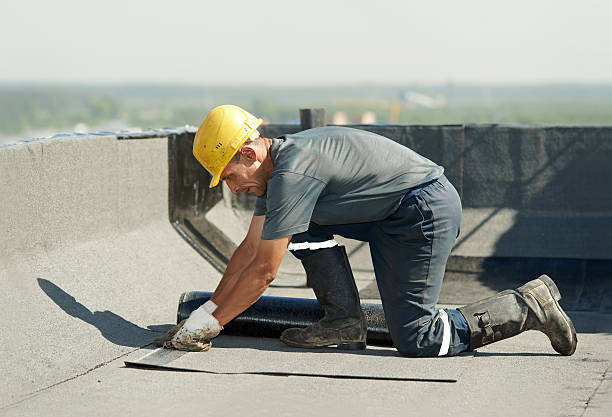 Best Insulation Maintenance and Repair in Minden, LA